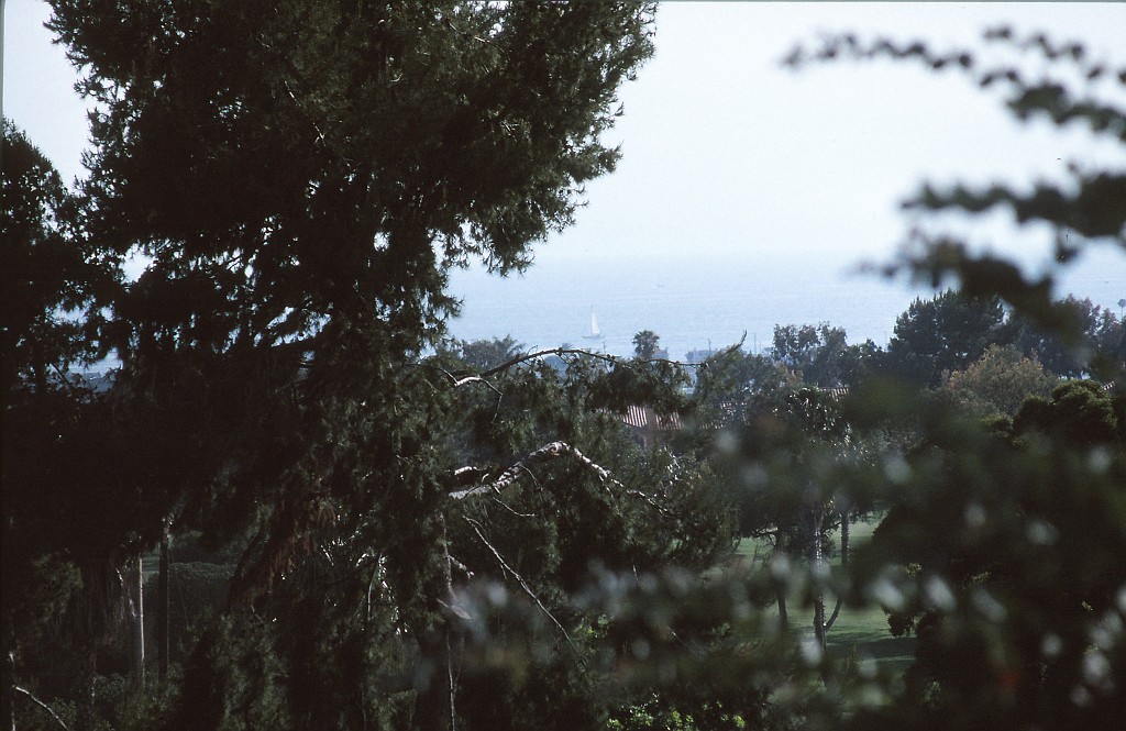 IMG_0003.jpg - Pacific view from the Hotel