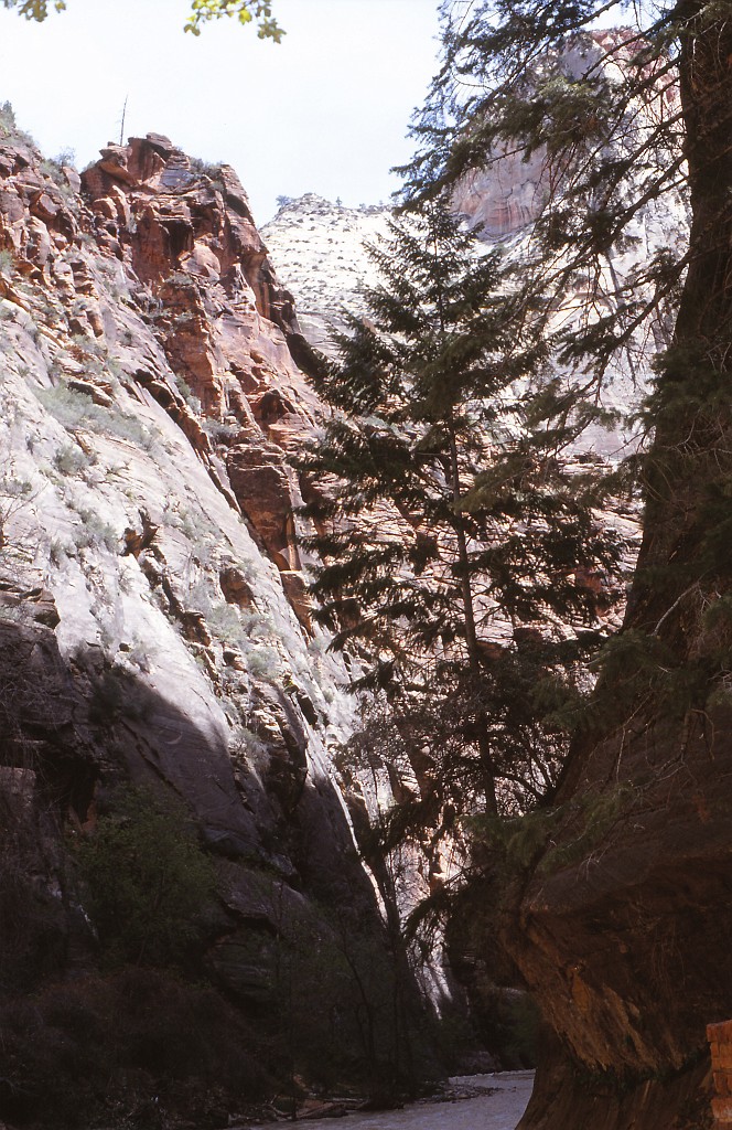IMG_0016.jpg - Zion National Park  http://en.wikipedia.org/wiki/Zion_National_Park 