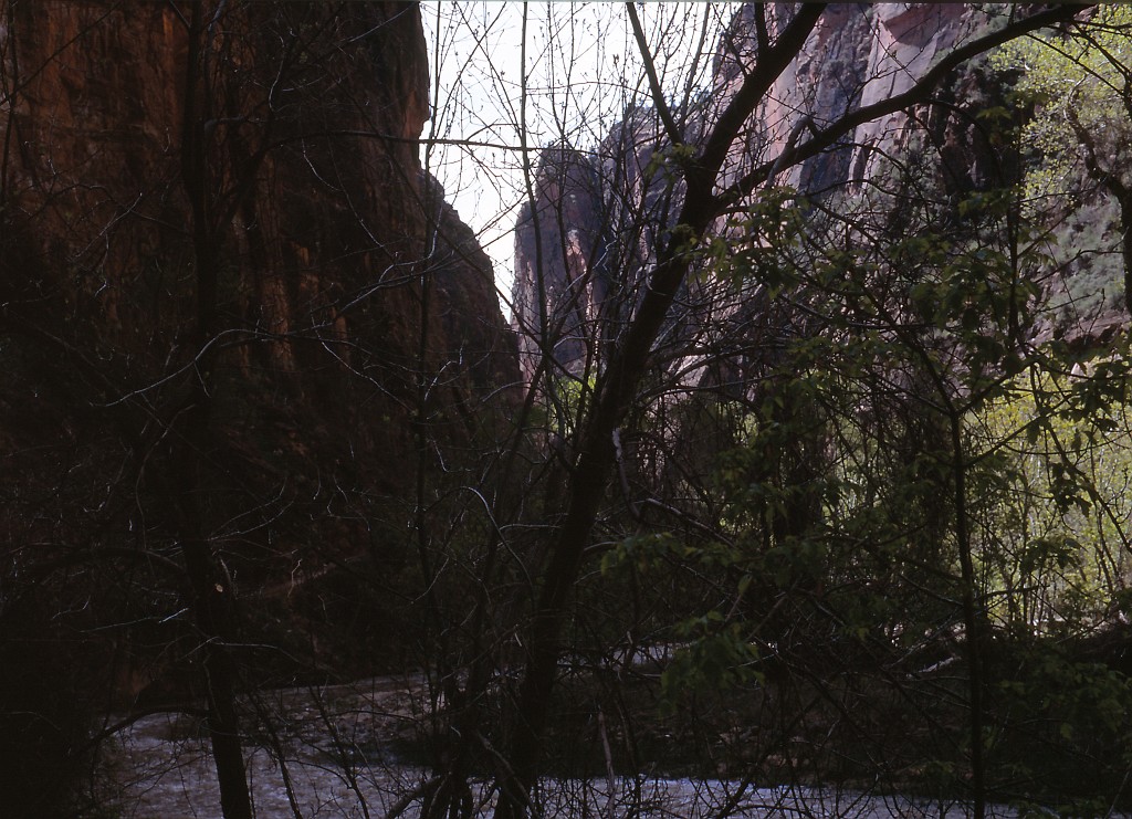 IMG_0017.jpg - Zion National Park  http://en.wikipedia.org/wiki/Zion_National_Park 