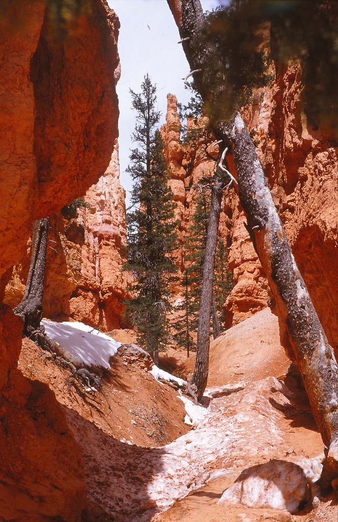 IMG_0029.jpg - Bryce-Canyon  http://en.wikipedia.org/wiki/Bryce_Canyon_National_Park 