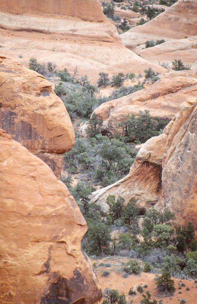 IMG_0053.jpg - Arches National Park  http://en.wikipedia.org/wiki/Arches_National_Park 
