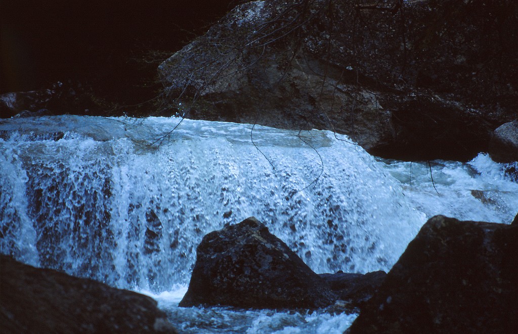 IMG_0156.jpg - Kings Canyon National Park  http://en.wikipedia.org/wiki/Kings_Canyon_National_Park 