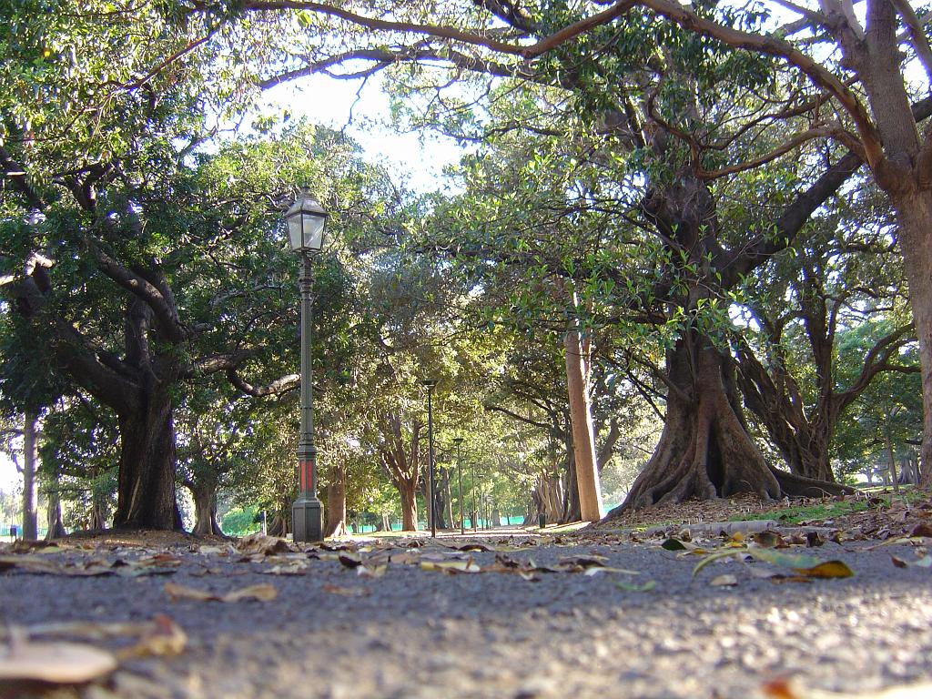 DSC02773.JPG - The Domain