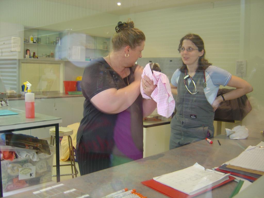 DSC02813.JPG - World's first Koala Hospital in Port Macquarie; http://www.koalahospital.org.au/