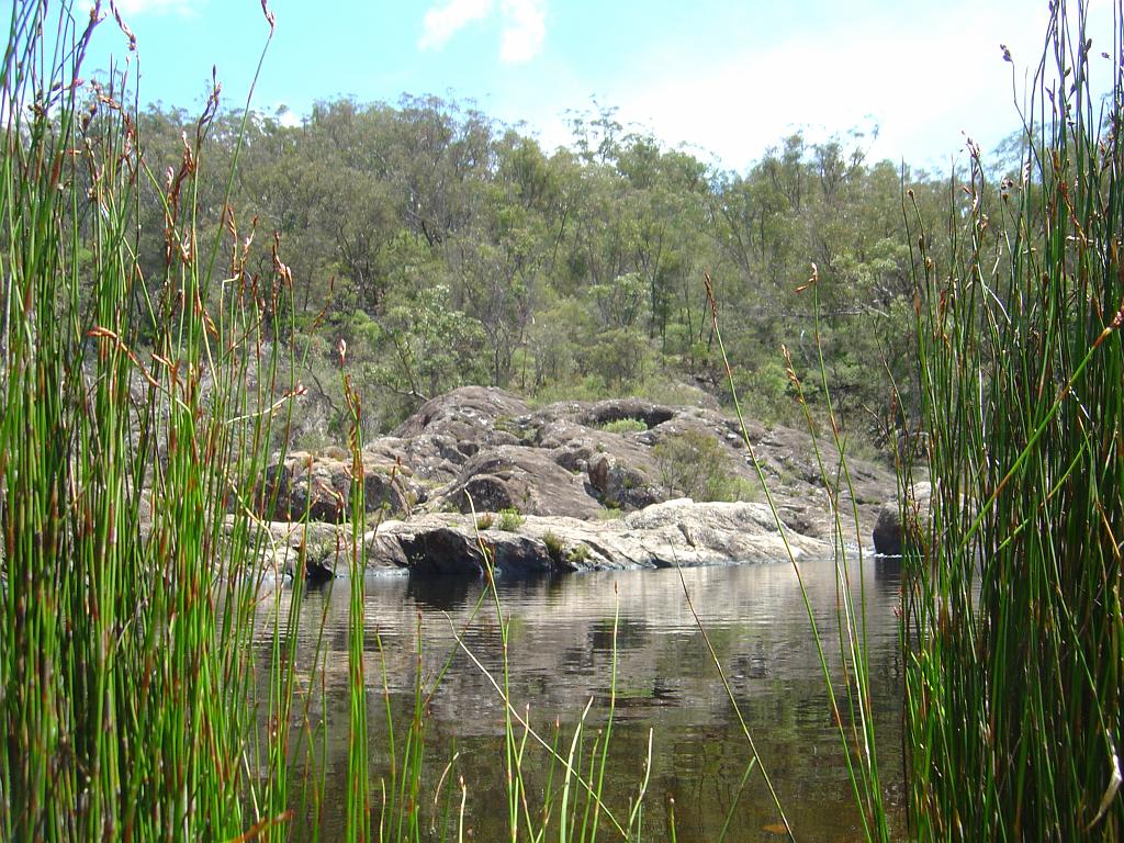 DSC02983.JPG - Boonoo Boonoo National Park