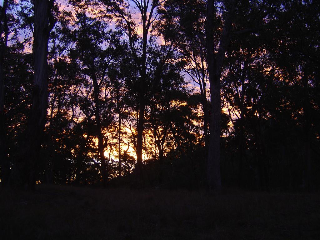 DSC03008.JPG - Wollomombi Falls