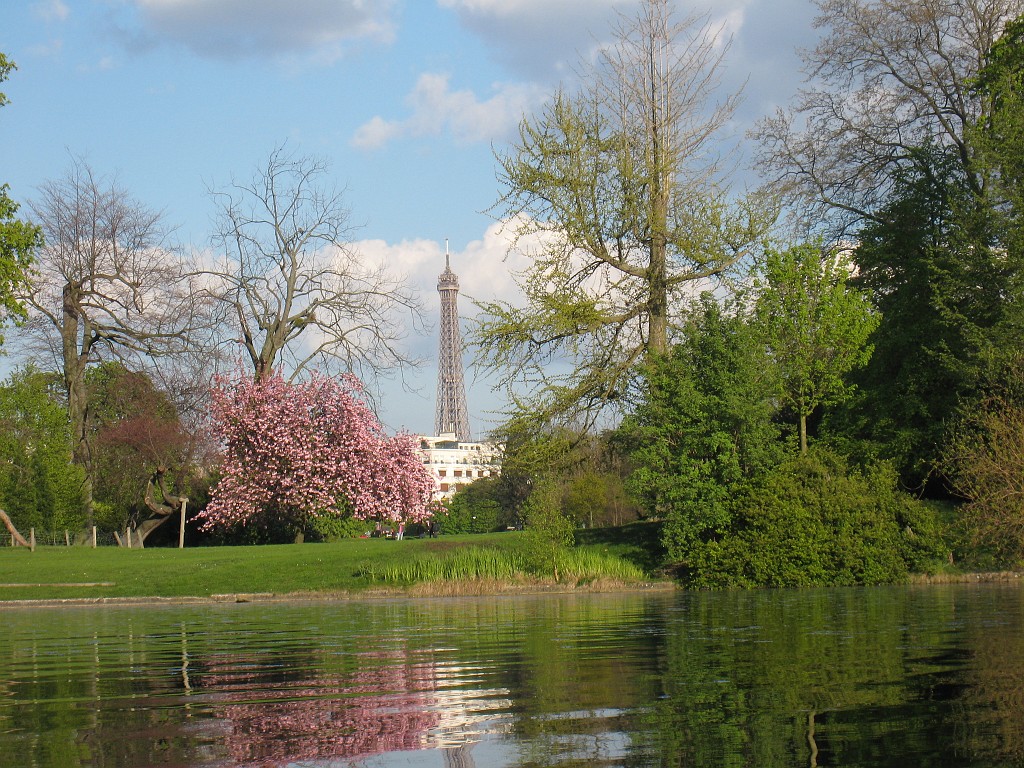 IMG_5738.JPG - First blossoms in the Bois de Boulogne ( http://en.wikipedia.org/wiki/Bois_de_Boulogne ) with the Tour Eiffel ( http://en.wikipedia.org/wiki/Eiffel_Tower ) in the background