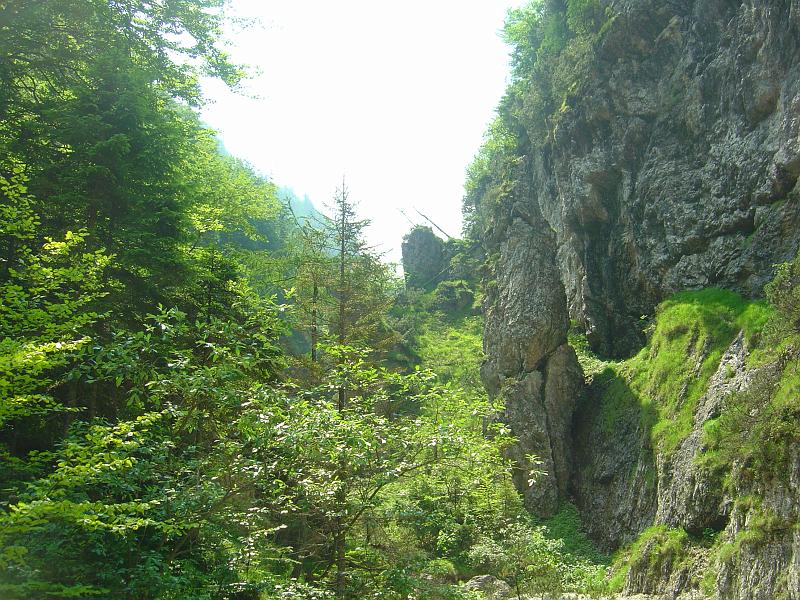DSC05674.JPG - Kanu und Spaghetti Tour über den Lago Del Predil