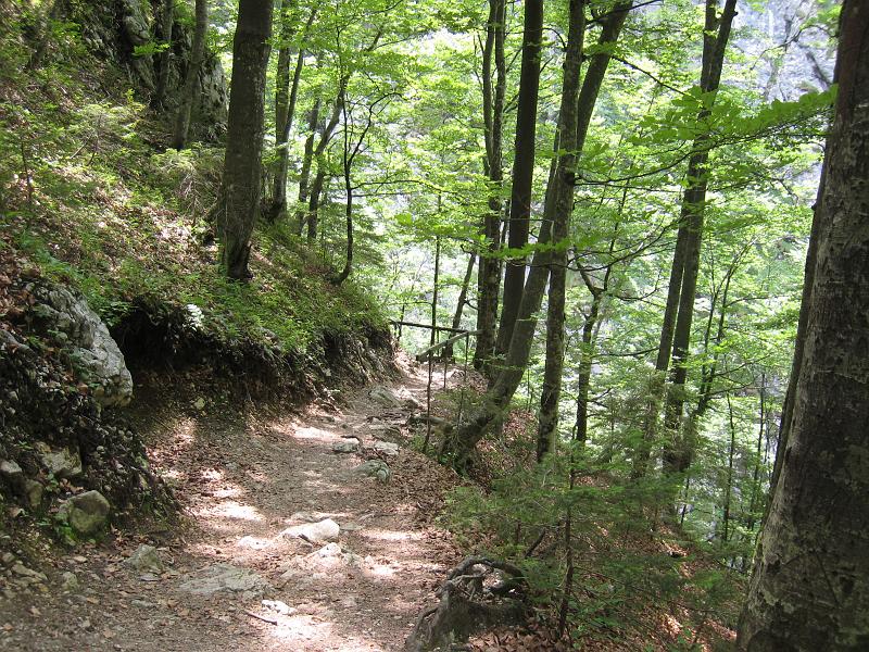 IMG_8135.JPG - Tscheppa Schlucht Ferlach