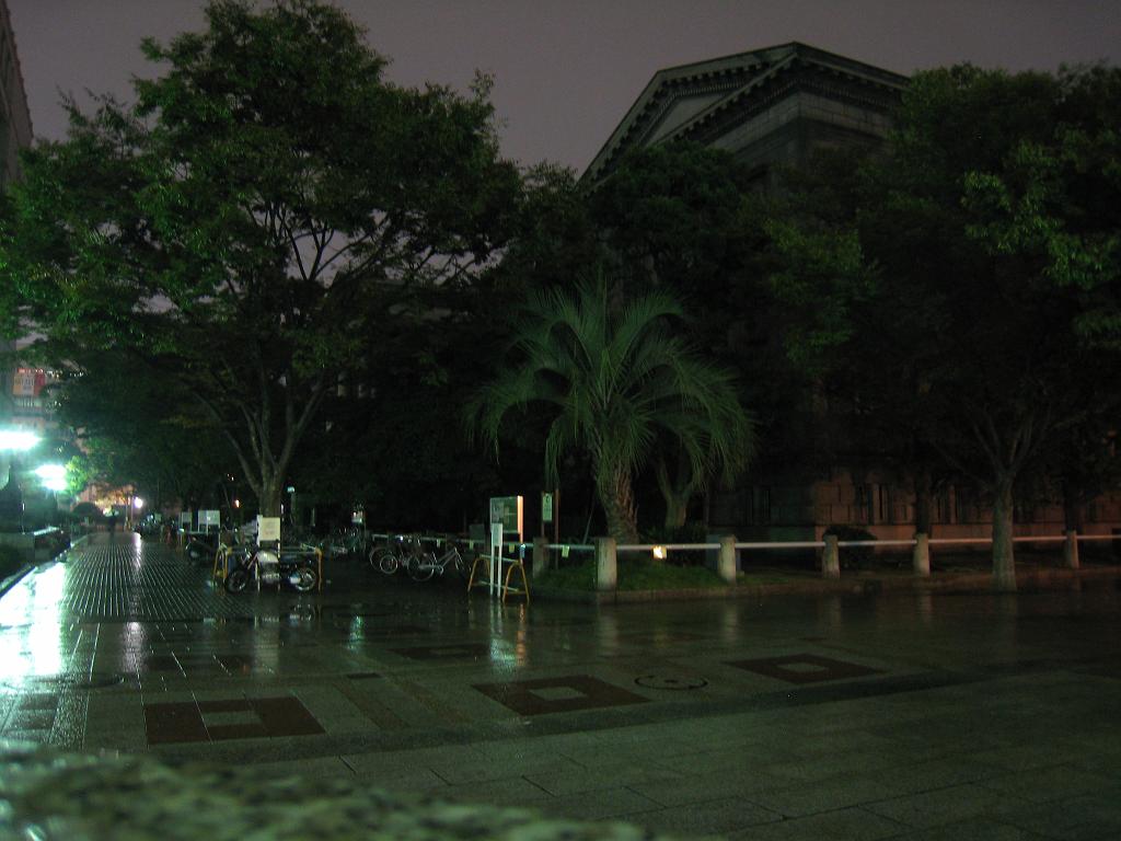 IMG_9858.JPG - Prefectural Nakanoshima Library