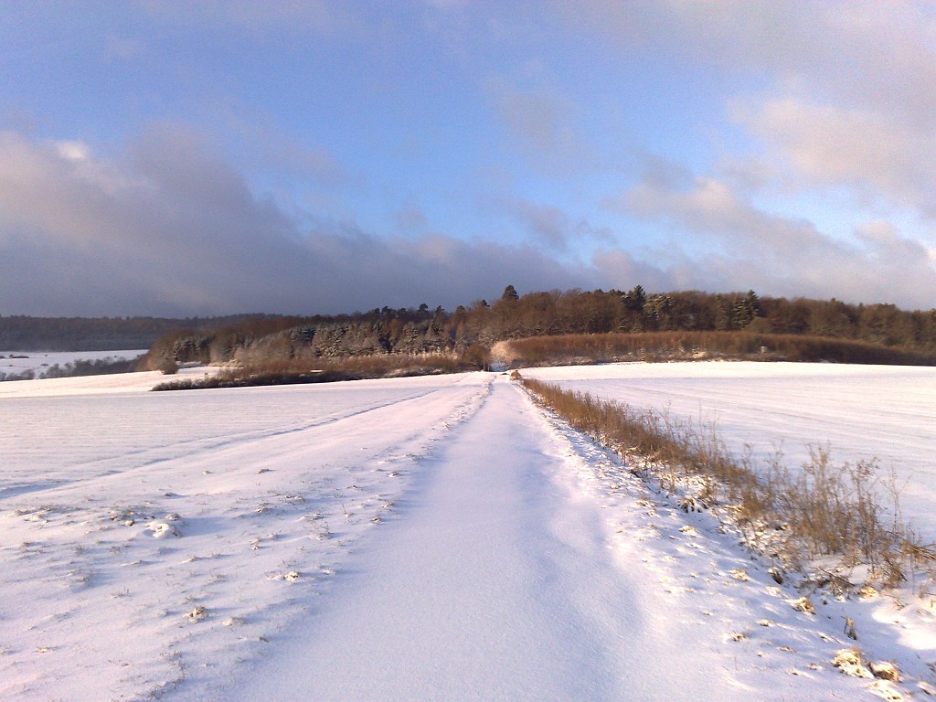 11022009085.jpg - Hausen Blick Richtung Merzhausen