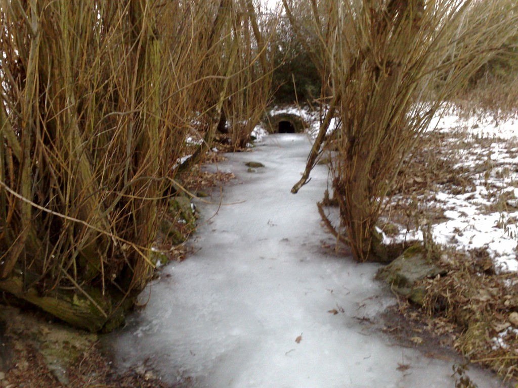 14012009084.jpg - Frozen Creek