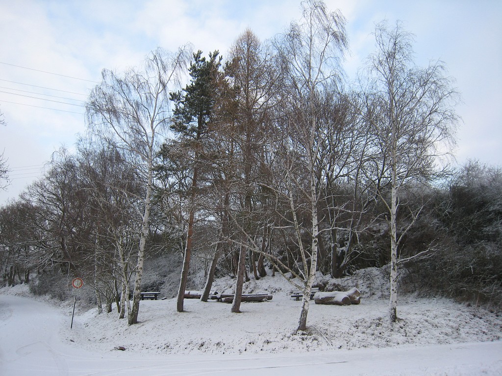 IMG_0253.JPG - Rest area