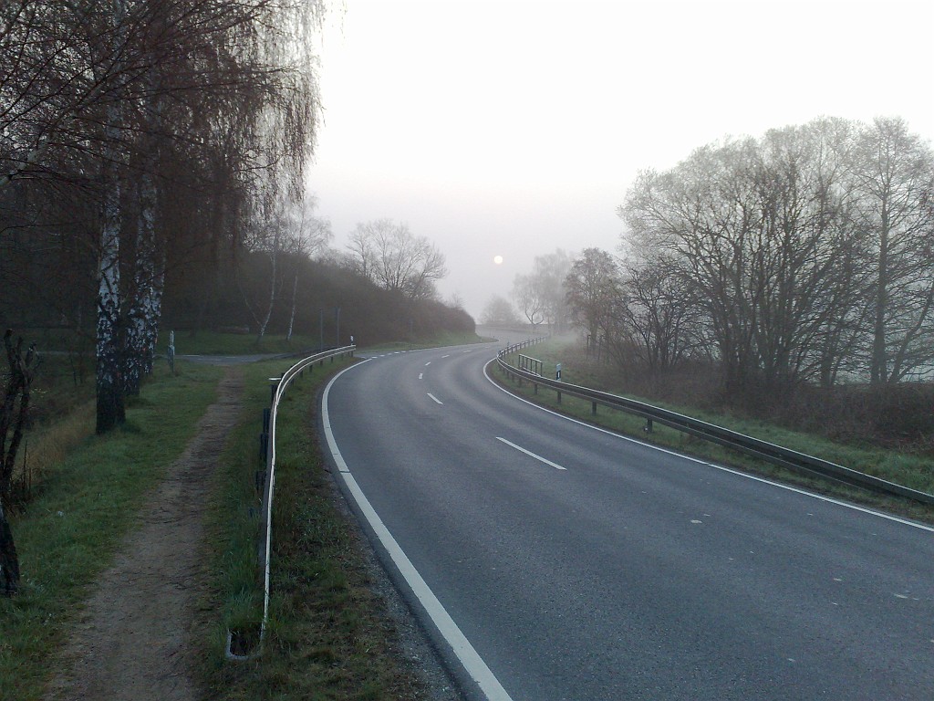 06042009103.jpg - Fog in the morning