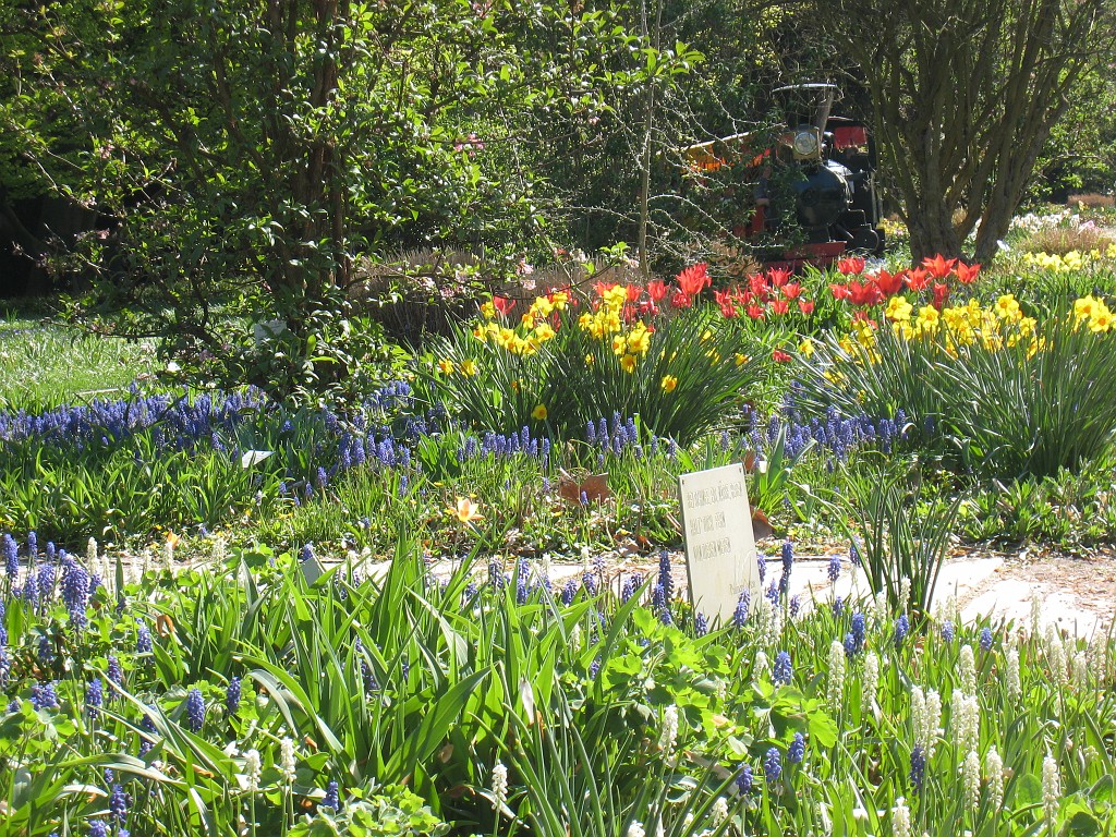 IMG_0398.JPG - Blumen  - in the Frankfurter Palmengarten  http://en.wikipedia.org/wiki/Palmengarten ,  http://de.wikipedia.org/wiki/Palmengarten_Frankfurt 