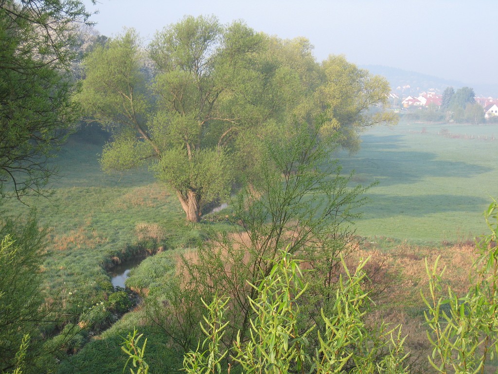 IMG_0474.JPG - Usa creek valley near Neu-Anspach ( http://de.wikipedia.org/wiki/Usa_%28Fluss%29 ,  http://en.wikipedia.org/wiki/Usa_River_(Germany) )
