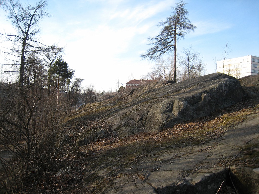 IMG_0720.JPG - Rock at Alppila park ( http://en.wikipedia.org/wiki/Alppila )