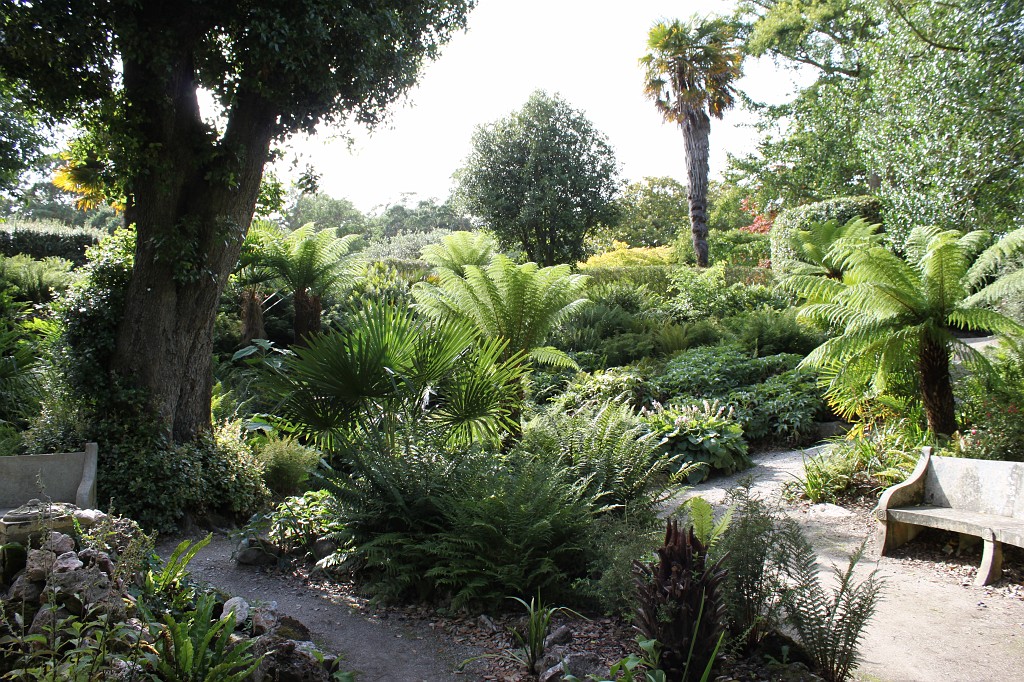 IMG_1353.JPG - Mount Edgcumbe Gardens  http://en.wikipedia.org/wiki/Mount_Edgcumbe_House 