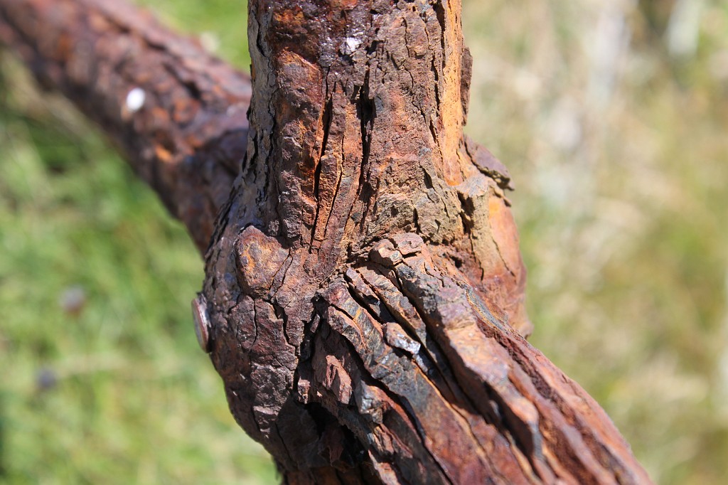 IMG_1512.JPG - Rusty balustrade