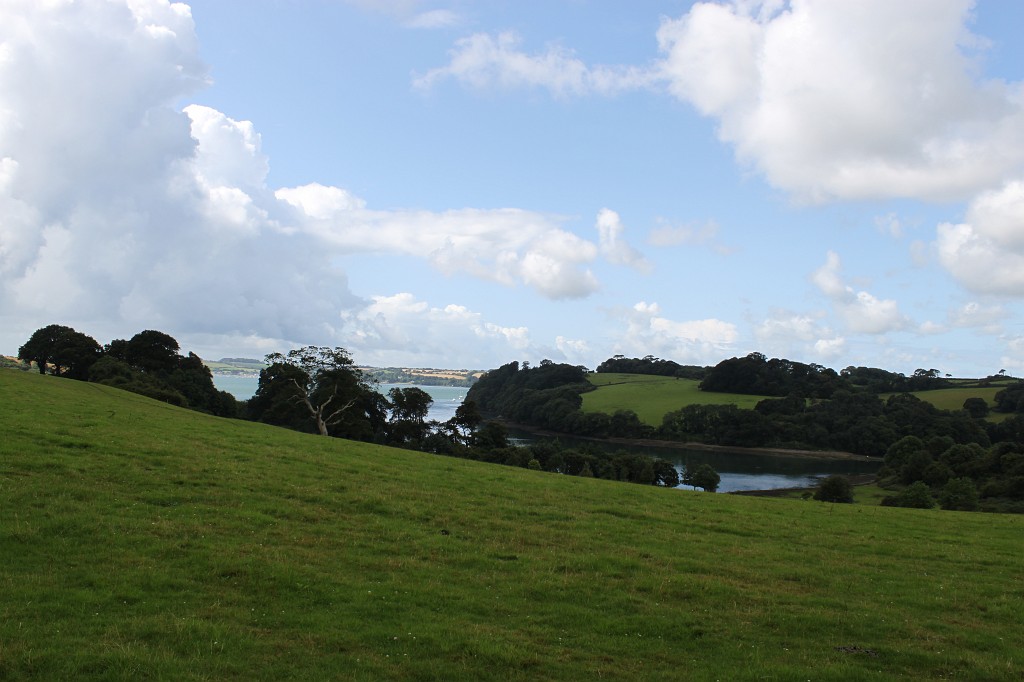 IMG_1556.JPG - Trelissick Garden