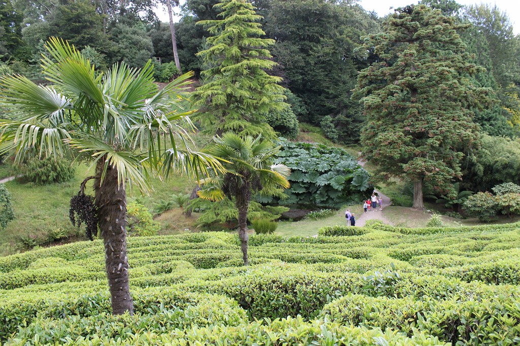 IMG_1642.JPG - Glendurgan Garden view out of the maze  http://en.wikipedia.org/wiki/Glendurgan_Garden 
