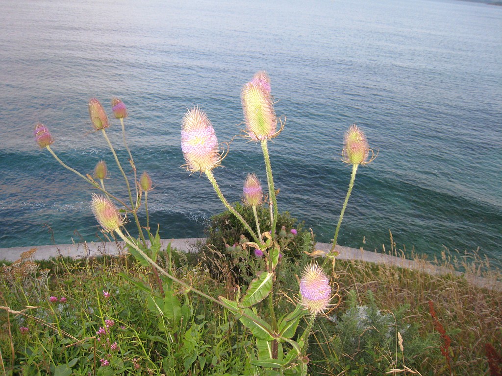 X_IMG_1478.JPG - Falmouth water view  http://en.wikipedia.org/wiki/Falmouth,_Cornwall 