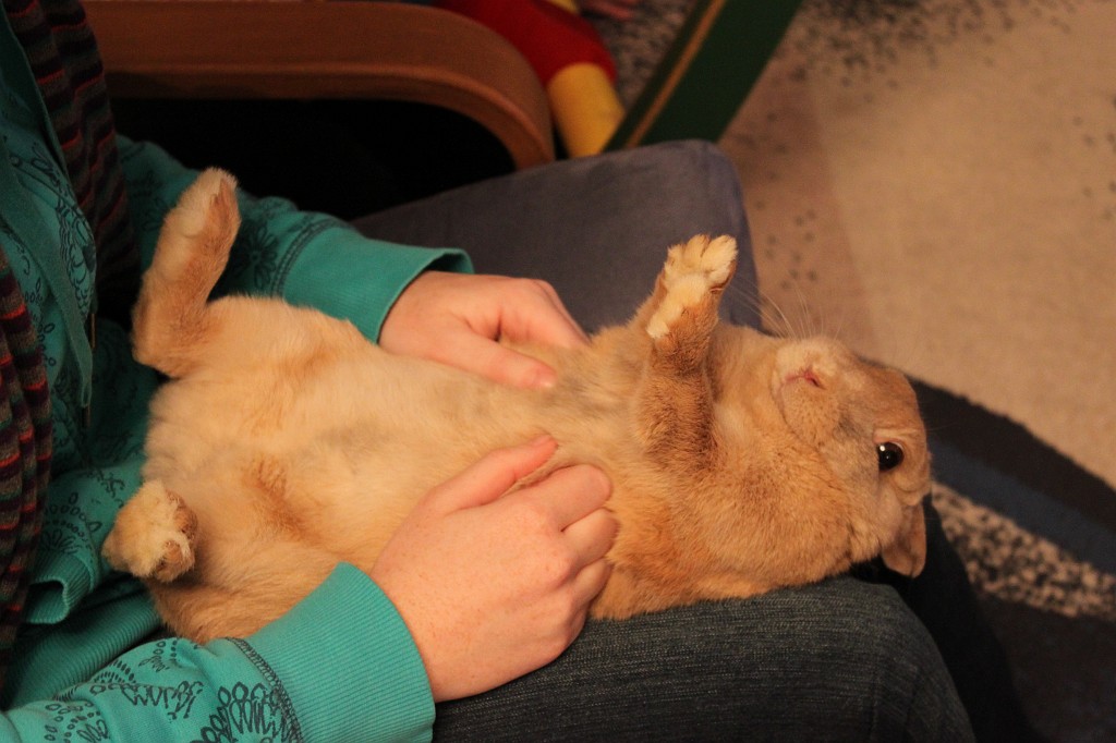 IMG_4423.JPG - Tabitha & Peach