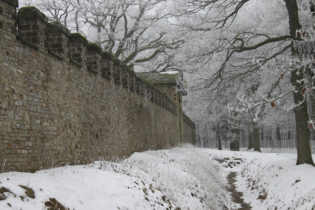 IMG_4434.JPG - Hoar frost around Saalburg
