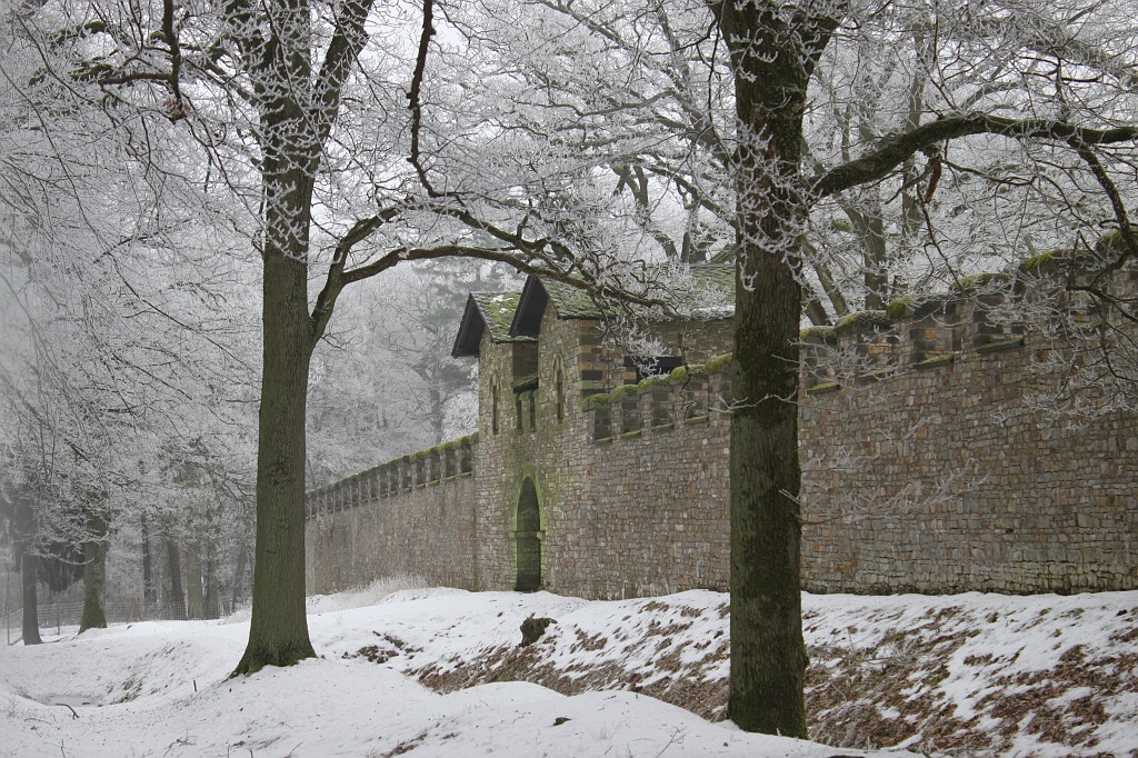 IMG_4438.JPG - Hoar frost around Saalburg