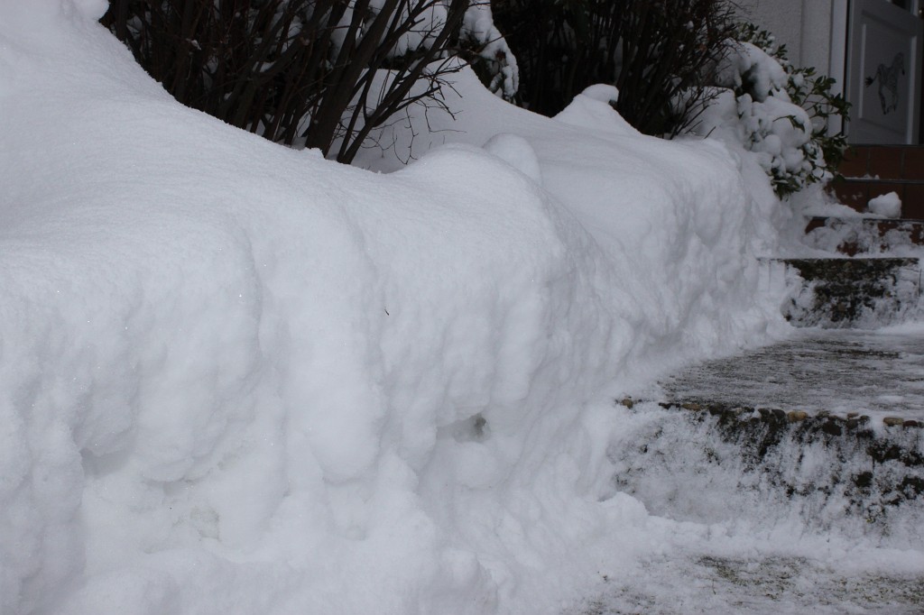 IMG_4509.JPG - Snow in the front garden