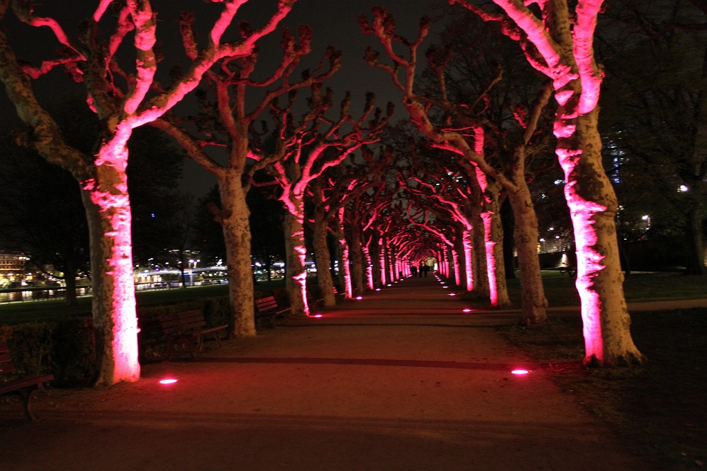 IMG_5295.JPG - Red light district