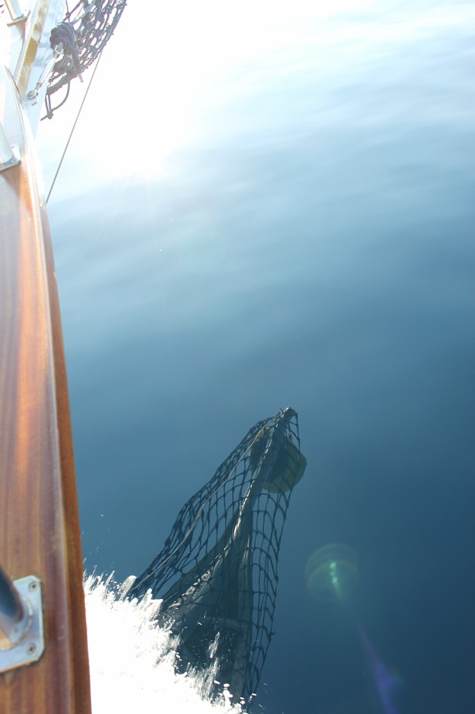 IMG_6958.JPG - Sailing with the "Otac Nikola"  http://otac-nikola.com/page/ship_en.html  on calm sea