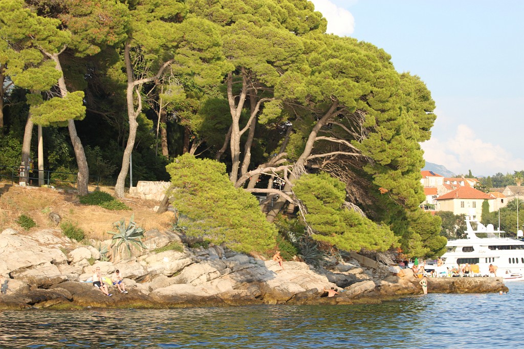 IMG_7559.JPG - Kamen Mali