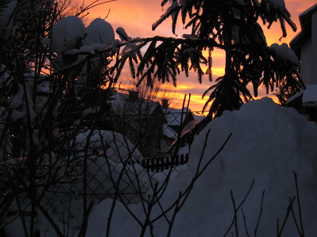 IMG_6609.JPG - Winter around Neu-Anspach