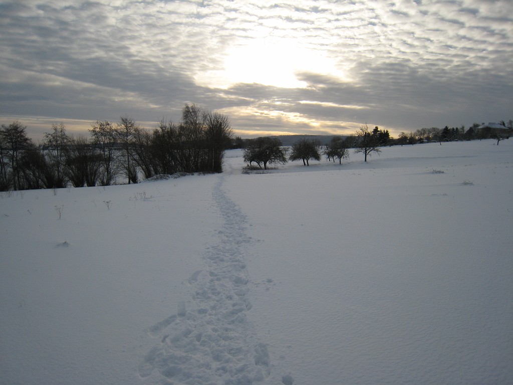 IMG_6683.JPG - Winter around Neu-Anspach