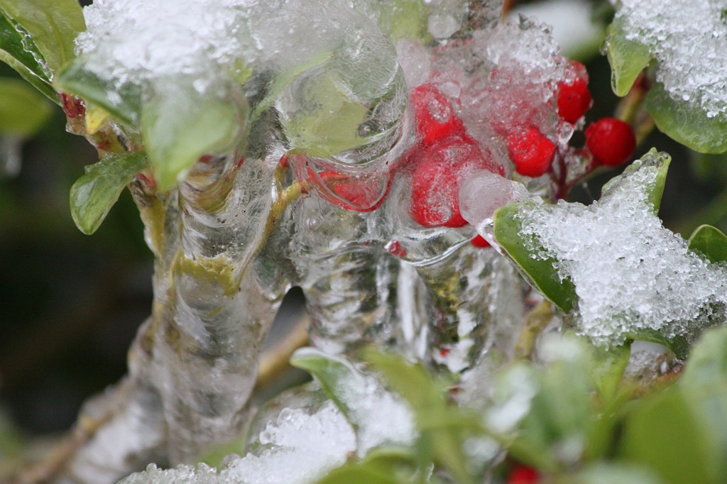 IMG_8818.JPG - Winter in Anspach