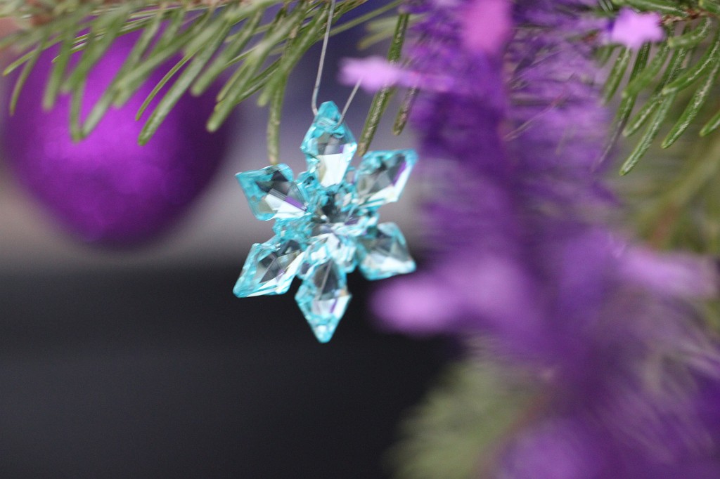 IMG_8928.JPG - Christmas tree 2010