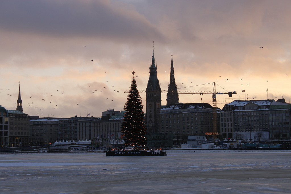 IMG_9090.JPG - Towers and christmas tree