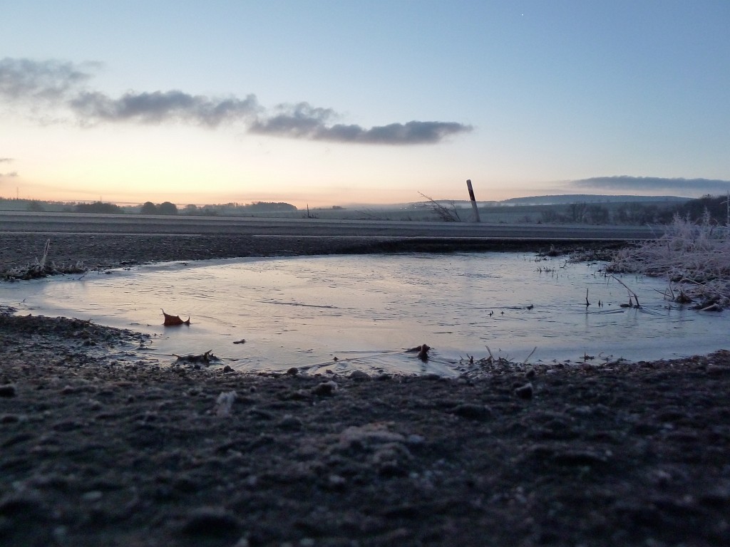 P1020231.JPG - Frozen puddle