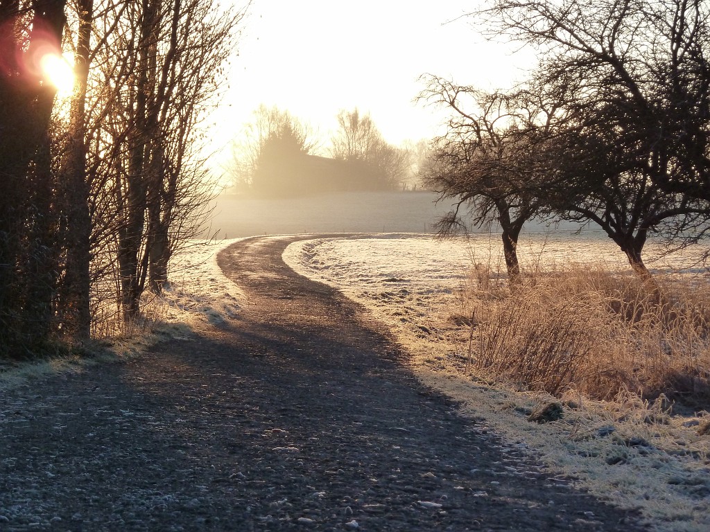 P1020279.JPG - Path in the morning sun