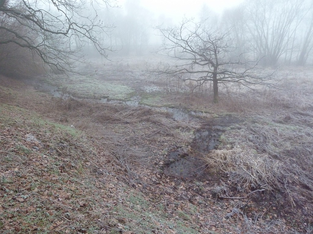 P1020335.JPG - Fog and the moor