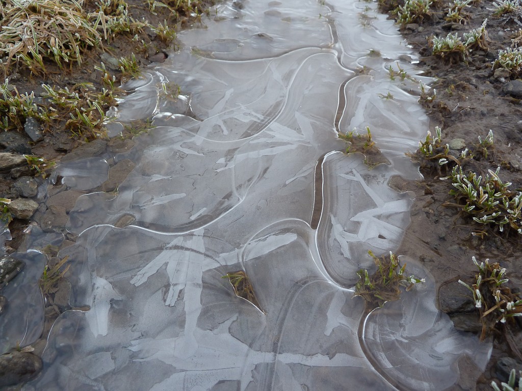 P1020349.JPG - Frozen puddle