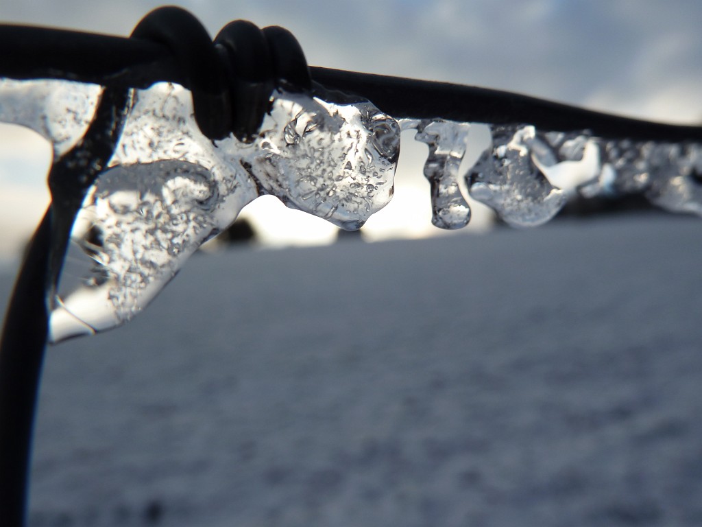 P1020408.JPG - Ice on the fence