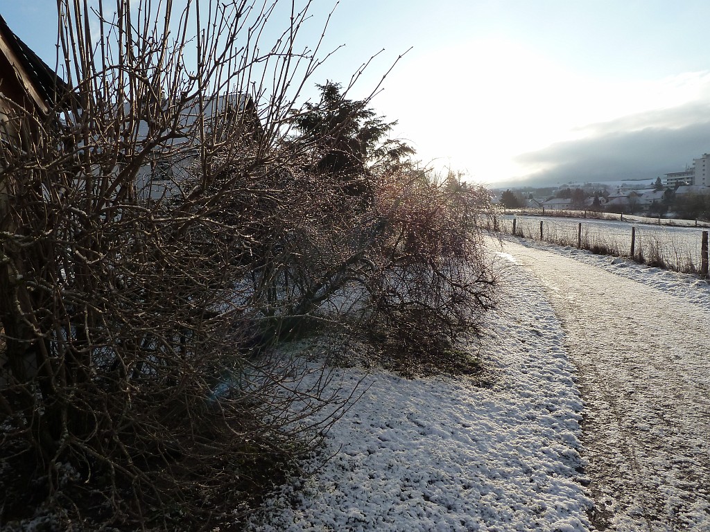 P1020436.JPG - Glittering Ice