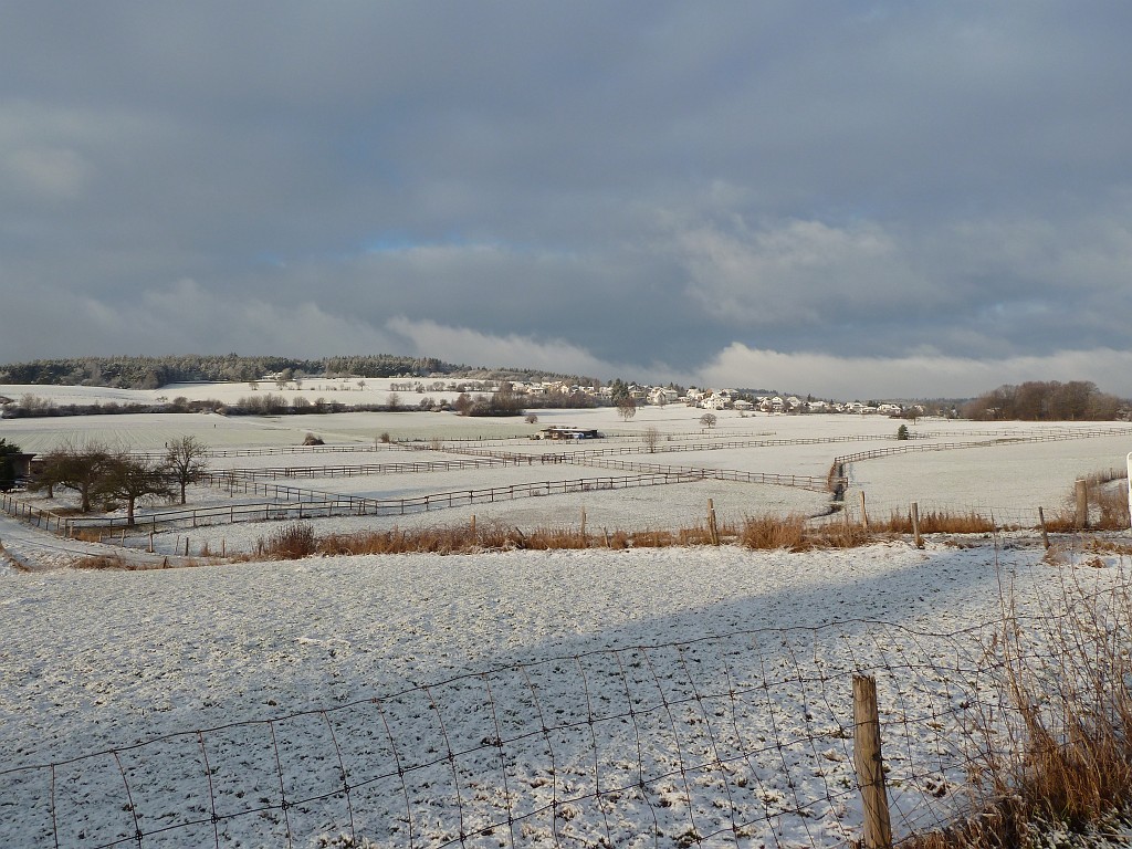 P1020446.JPG - Rod am Berg