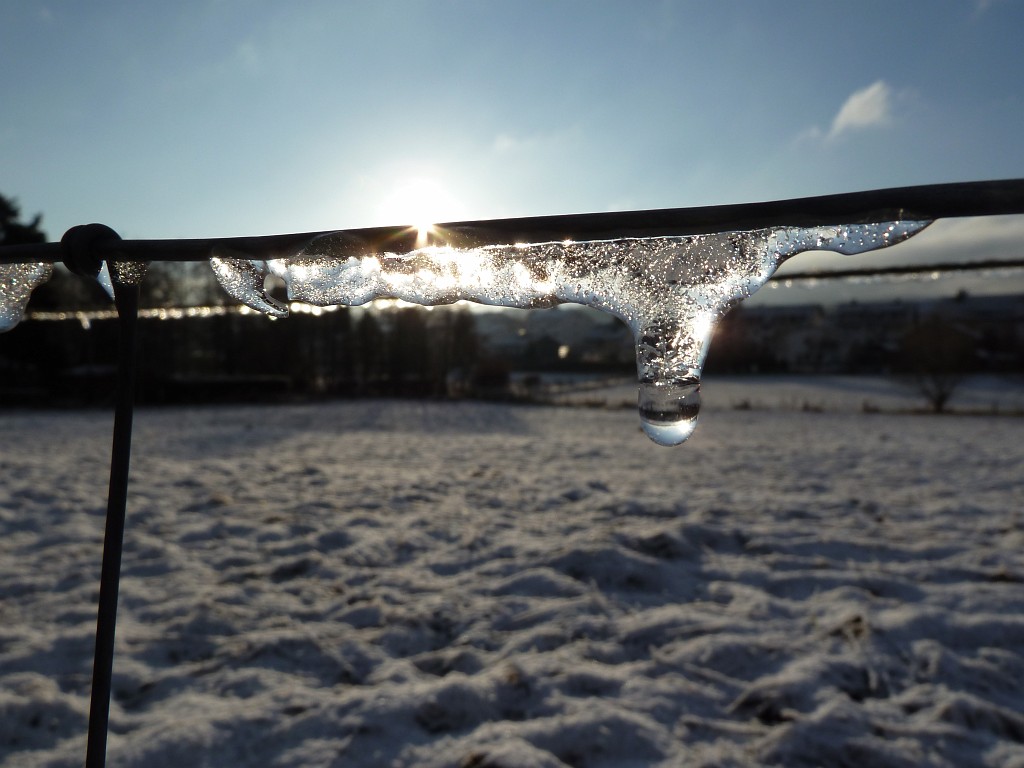 P1020459.JPG - Ice on the fence