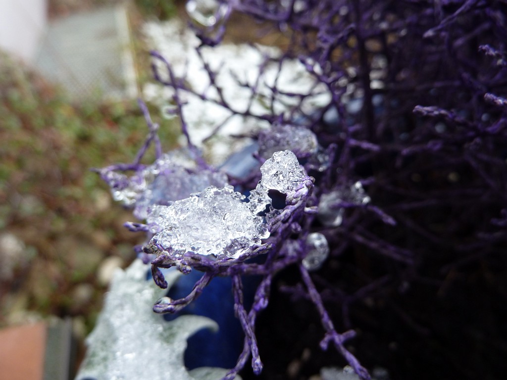 P1020465.JPG - Snow to ice