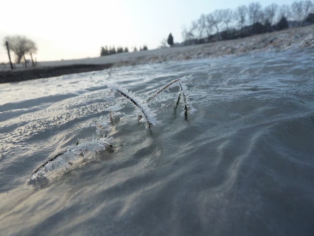 P1020549.JPG - Hard life