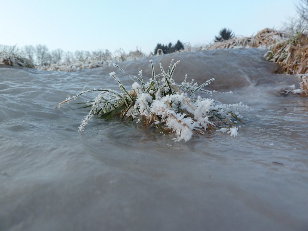 P1020550.JPG - Hard life