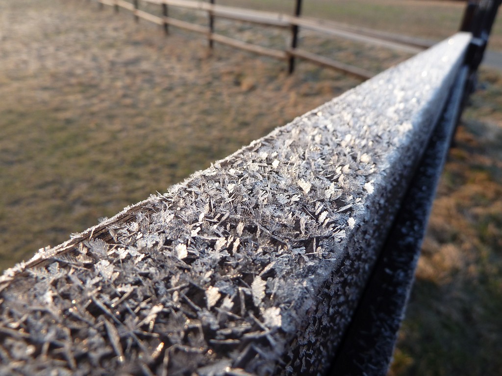 P1020570.JPG - Hoar frost